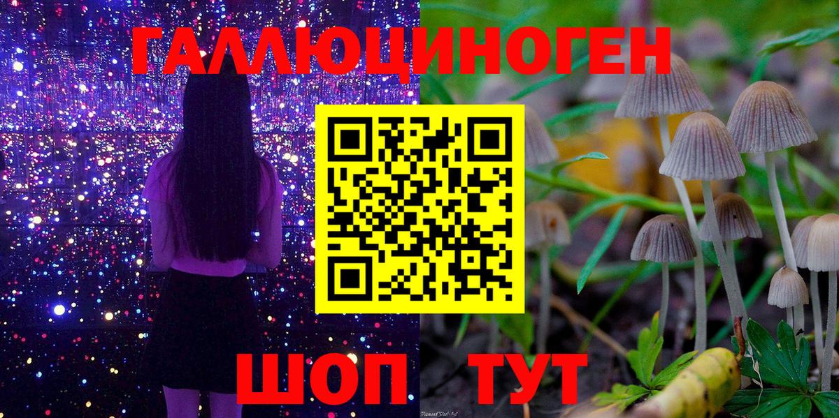 Псилоцибиновые грибы мицелий Белогорск